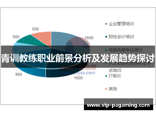 青训教练职业前景分析及发展趋势探讨