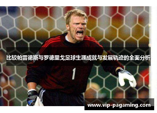比较帕雷德斯与罗德里戈足球生涯成就与发展轨迹的全面分析