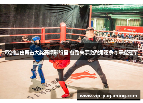 欧洲自由搏击大奖赛精彩纷呈 各路高手激烈角逐争夺荣耀冠军