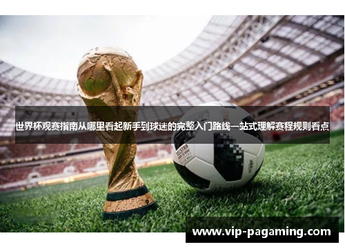 世界杯观赛指南从哪里看起新手到球迷的完整入门路线一站式理解赛程规则看点