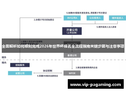 全面解析如何顺利完成2026年世界杯报名全流程指南关键步骤与注意事项