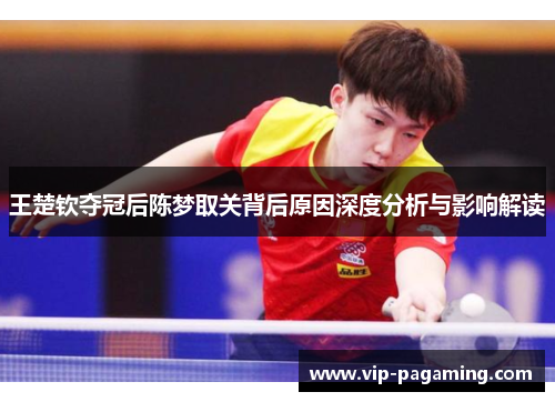 王楚钦夺冠后陈梦取关背后原因深度分析与影响解读