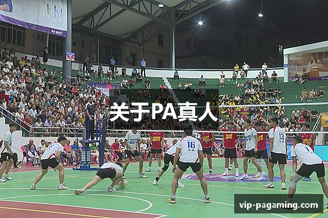 关于PA真人